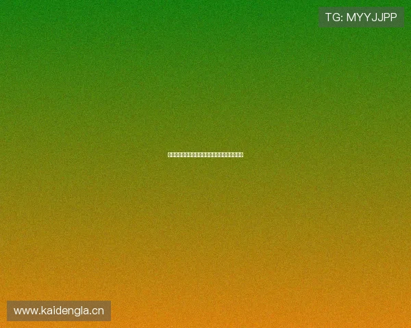 风速影视安卓版最新下载地址与功能全面解析指南